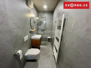 Pronájem bytu 1+kk, Zlín, Lešetín II, 42 m2