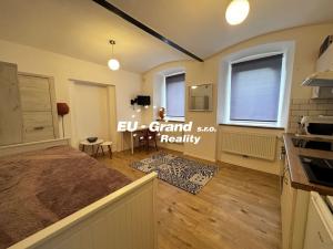 Pronájem bytu 1+kk, Lipová, 27 m2