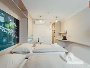 Pronájem bytu 1+kk, Olomouc - Hodolany, Nezvalova, 21 m2