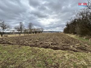Prodej zahrady, Cizkrajov - Holešice, 1159 m2