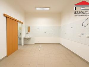 Pronájem ordinace, Brno, Kounicova, 46 m2
