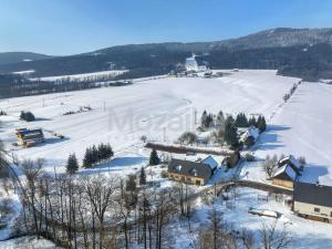 Prodej zemědělské usedlosti, Červená Voda - Mlýnický Dvůr, 3975 m2