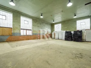 Prodej komerční nemovitosti, Nový Bor, B. Egermanna, 1777 m2