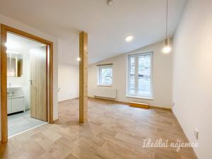 Pronájem bytu 1+kk, Brno - Líšeň, Šimáčkova, 22 m2