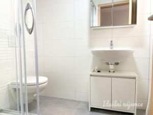 Pronájem bytu 1+kk, Brno - Líšeň, Šimáčkova, 22 m2