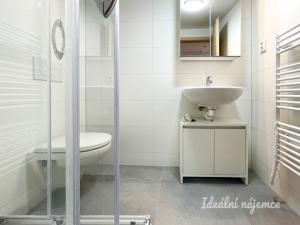 Pronájem bytu 1+kk, Brno - Líšeň, Šimáčkova, 22 m2