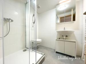 Pronájem bytu 1+kk, Brno - Líšeň, Šimáčkova, 22 m2