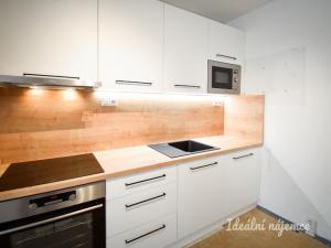 Pronájem bytu 2+kk, Brno, Oblá, 45 m2