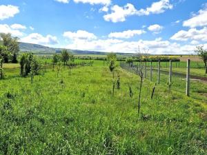 Prodej rodinného domu, Suchá Loz, 211 m2