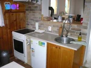 Prodej chaty, Zábřeh - Dolní Bušínov, 55 m2