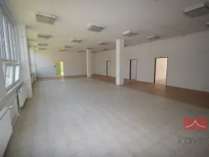 Pronájem výrobních prostor, Pelhřimov, Pražská, 665 m2