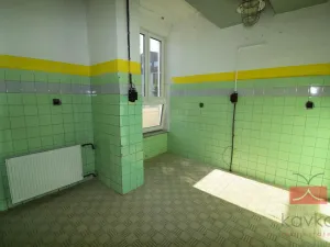 Pronájem výrobních prostor, Pelhřimov, Pražská, 665 m2