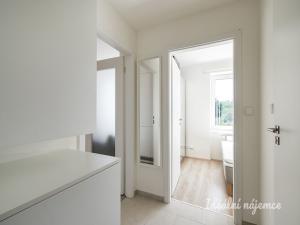 Pronájem bytu 2+kk, Praha - Hloubětín, Na obrátce, 30 m2