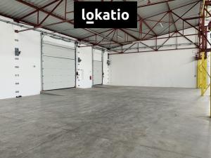 Pronájem skladu, Čelákovice, 4000 m2