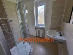 Pronájem bytu 1+kk, Havířov - Šumbark, U Nádraží, 29 m2