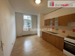 Pronájem bytu 1+1, Ústí nad Labem, Šaldova, 45 m2