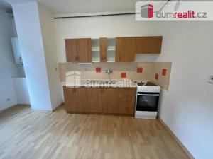 Pronájem bytu 1+1, Ústí nad Labem, Šaldova, 45 m2