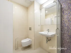 Pronájem bytu 1+kk, Praha - Vinohrady, Záhřebská, 28 m2