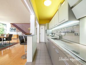 Pronájem atypického bytu, Šestajovice, K Úvozu, 280 m2