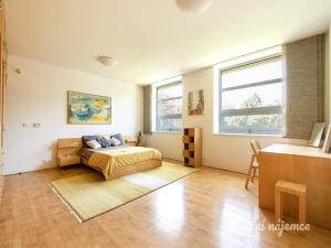 Pronájem atypického bytu, Šestajovice, K Úvozu, 280 m2
