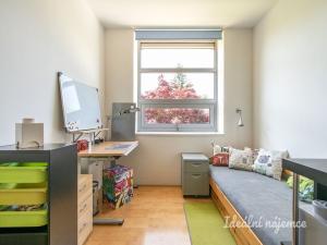 Pronájem atypického bytu, Šestajovice, K Úvozu, 280 m2