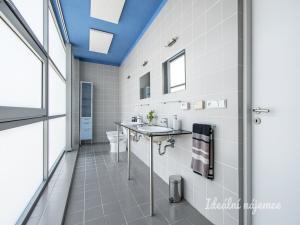 Pronájem atypického bytu, Šestajovice, K Úvozu, 280 m2