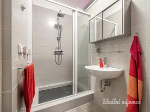Pronájem atypického bytu, Šestajovice, K Úvozu, 280 m2