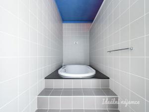 Pronájem atypického bytu, Šestajovice, K Úvozu, 280 m2