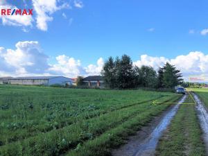 Prodej zemědělské půdy, Dolany, 10206 m2