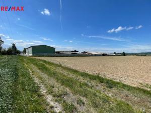 Prodej zemědělské půdy, Dolany, 10206 m2