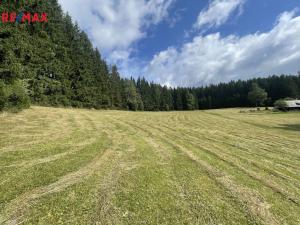 Prodej trvalého travního porostu, Staré Hamry, 46118 m2