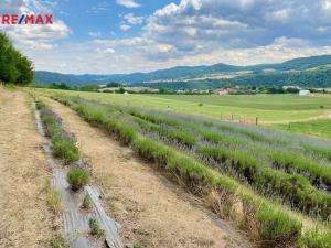 Prodej rodinného domu, Nezabudice, 410 m2