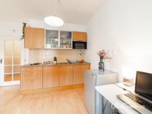 Pronájem bytu 1+kk, Praha - Záběhlice, Mattioliho, 33 m2