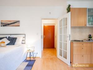 Pronájem bytu 1+kk, Praha - Záběhlice, Mattioliho, 33 m2
