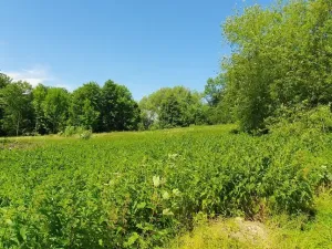 Prodej pozemku pro bydlení, Hukvaldy, 9808 m2