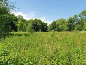 Prodej pozemku pro bydlení, Hukvaldy, 9808 m2