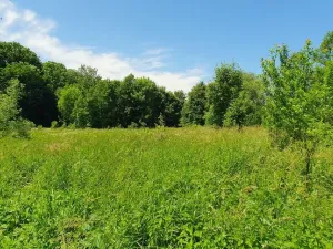 Prodej pozemku pro bydlení, Hukvaldy, 9808 m2