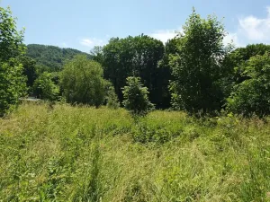 Prodej pozemku pro bydlení, Hukvaldy, 9808 m2