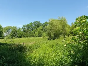 Prodej pozemku pro bydlení, Hukvaldy, 9808 m2