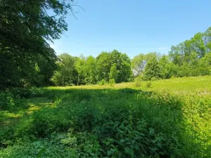 Prodej pozemku pro bydlení, Hukvaldy, 9808 m2