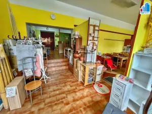 Prodej rodinného domu, Domažlice, Husova třída, 514 m2