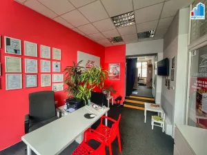 Prodej rodinného domu, Domažlice, Husova třída, 514 m2