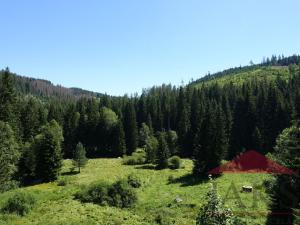 Prodej ubytování, Srní - Vchynice-Tetov I, 539 m2