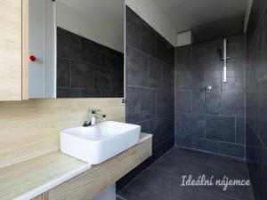 Pronájem bytu 1+kk, Praha - Záběhlice, Topolová, 31 m2