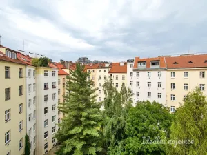 Pronájem bytu 1+kk, Praha - Vinohrady, Na Folimance, 32 m2