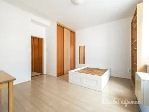 Pronájem bytu 1+kk, Praha - Vinohrady, Na Folimance, 32 m2