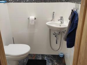 Pronájem bytu 3+kk, Olomouc, Starodružiníků, 90 m2