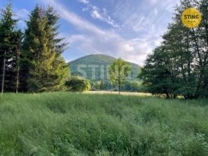 Prodej trvalého travního porostu, Třinec - Oldřichovice, 7467 m2