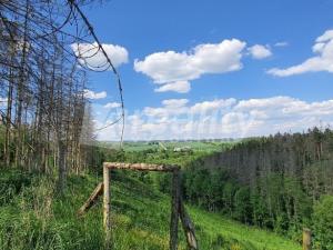 Prodej lesa, Kožichovice, 6650 m2