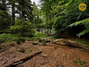 Prodej louky, Košařiska, 6262 m2